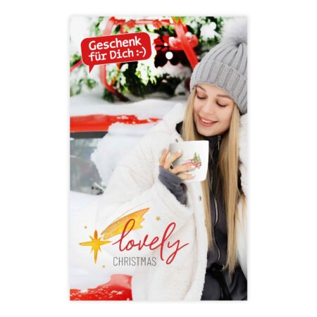 Banner 50x80cm Lovely Christmas