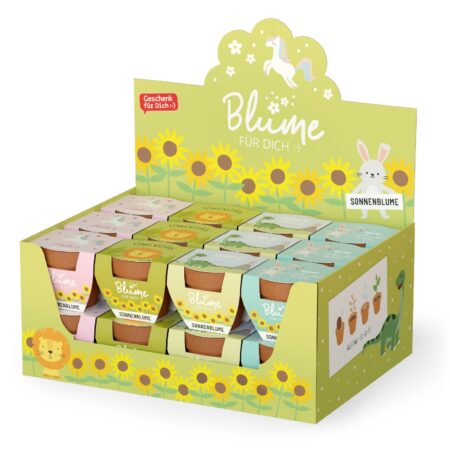 Blume im Topf Kleine Lieblinge im Display MIX