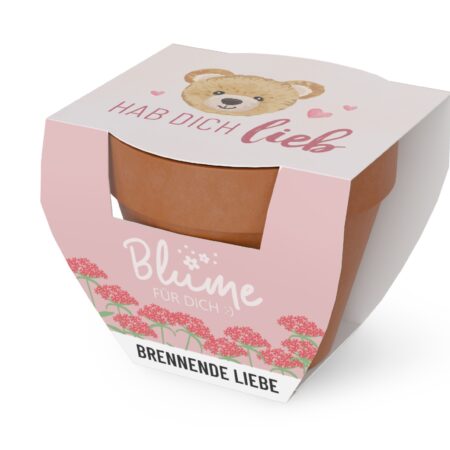 Blume im Topf Liebe Wünsche "Hab Dich lieb" (Teddybär)