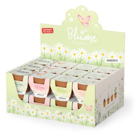 Blume im Topf Lovely Greetings im Display MIX