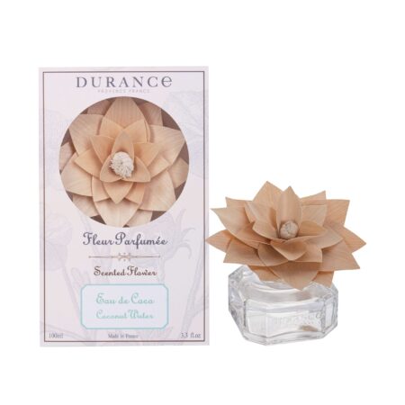 Raumduft 100ml mit Holzblume Kokosnusswasser