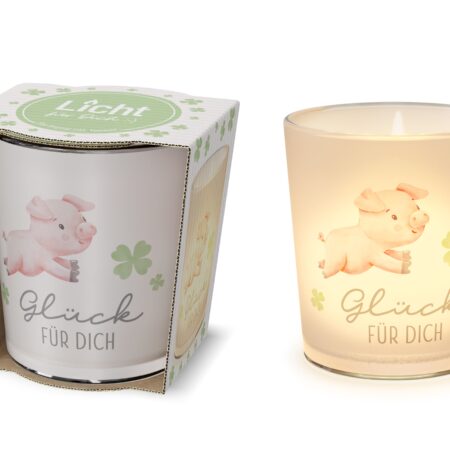 Licht + TL D6H6 Liebe Wünsche Glückslicht (Schweinchen)