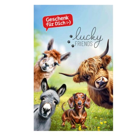 Banner 50x80 Lucky Friends