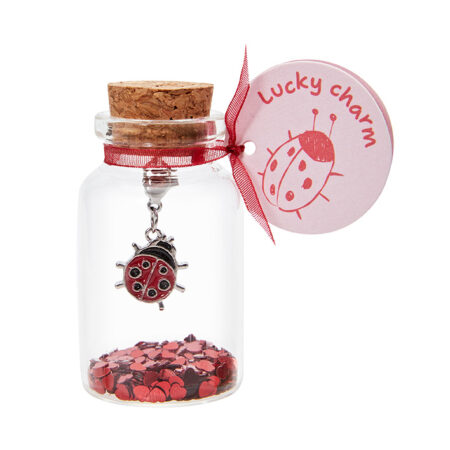 Glücksbringer im Glas "lucky charm" - Marienkäfer